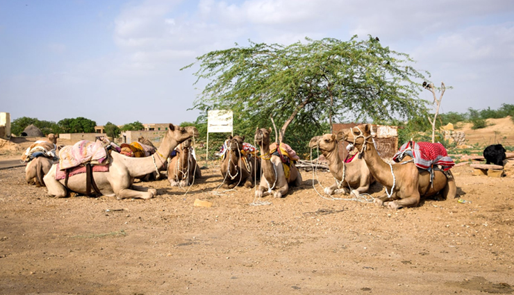 hidden villages in rajasthan,unique villages to visit in rajasthan,offbeat destinations in rajasthan,rural tourism in rajasthan,best villages to explore in rajasthan,rajasthan hidden gems,lesser-known villages in rajasthan,rajasthan countryside travel,village tourism in rajasthan,rural rajasthan travel guide