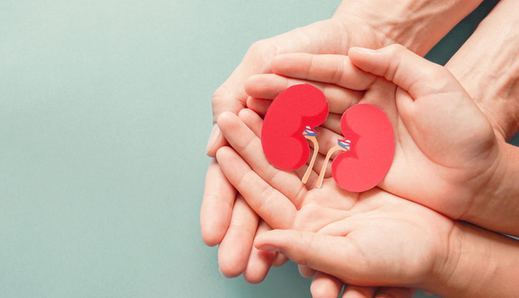 food to keep kidney healthy,Health tips,fitness tips,kidney care tips