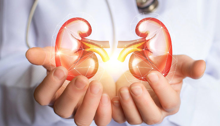 किडनी का हैल्दी रहना बेहद जरूरी, डाइट में शामिल करें ये चीजें 