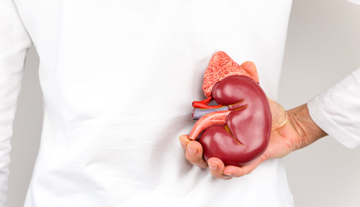 5 Habits To Avoid To Keep Kidney Healthy