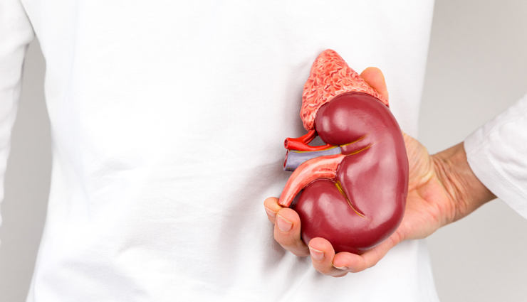 12 Foods To Naturally Cleanse & Detox Your Kidneys 