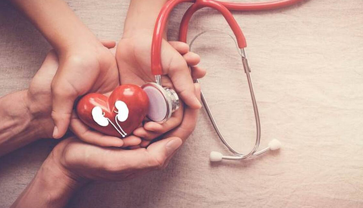 Best Remedies To Keep Kidneys Healthy
