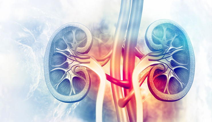 kalonji seeds,health benefits of kalonji seeds,healthy food kalonji seeds,kalonji seeds for heart,kalonji seeds for brain,kalonji seeds for good health,Health,Health tips