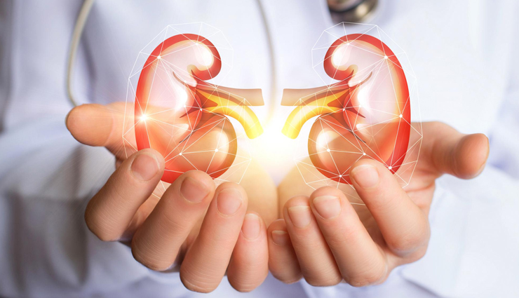 6 Rules You Should Swear By To Keep Your Kidney Healthy
