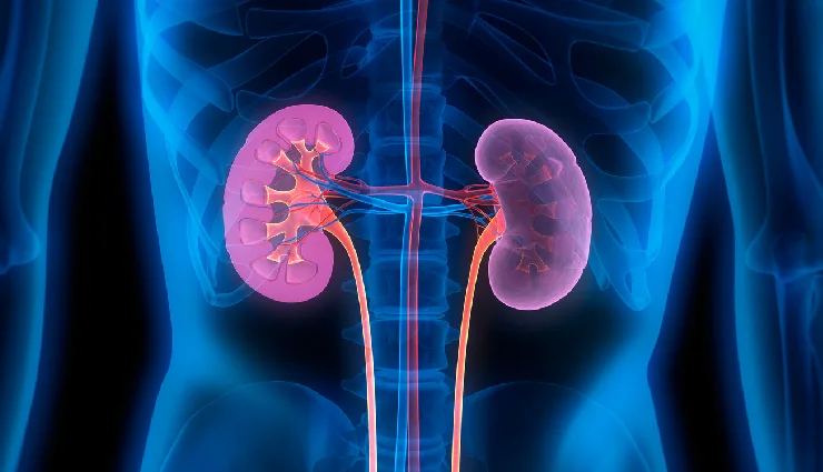 diet soda side effects,is diet soda bad for you,health risks of diet soda,artificial sweeteners,diet soda and weight gain,dangers of diet drinks,zero calorie soda risks,metabolic impact of diet soda,harmful effects of diet beverages,diet soda health concerns