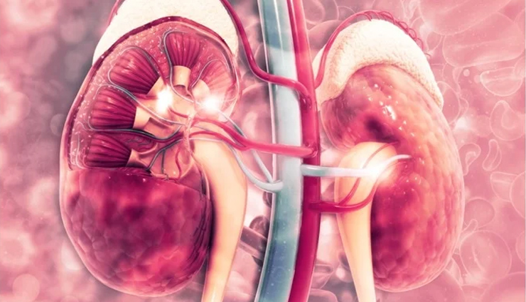 excessive walnut consumption side effects,negative effects of eating too many walnuts,harmful consequences of excessive walnut intake,walnut overdose and its side effects,risks and dangers of eating excessive walnuts,walnut toxicity and its adverse effects,health hazards of consuming too many walnuts,excessive walnut ingestion and its drawbacks,side effects of overindulging in walnuts,side effects of eating an excess of walnuts