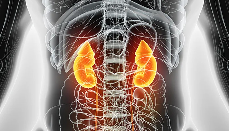 World Kidney Day 2022:  सिर्फ इन 2 चीजों को मिलाकर तैयार करें ये हेल्दी ड्रिंक, किडनी के लिए फायदेमंद