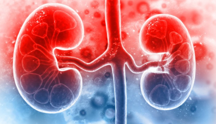 World Kidney Day 2022: किडनी को स्वस्थ रखने के लिए आज ही डाइट में शामिल करे ये 4 ड्रिंक्स