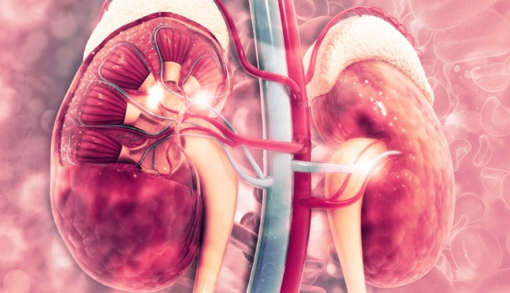 7 Common Lifestyle Mistakes That May Be Damaging Your Kidneys