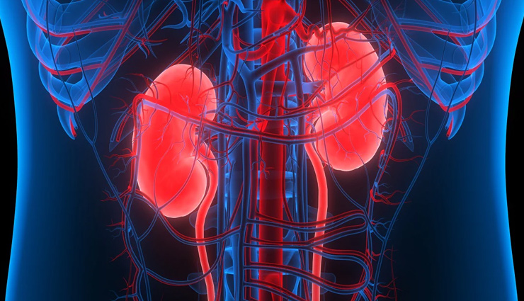 protein,protein side effects,protein powder side effects,protein powder side effects on health,healthy living,Health tips,Health