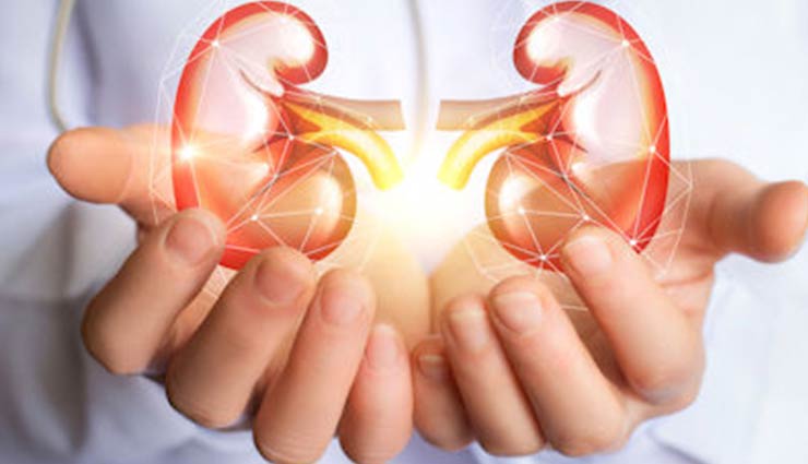 kidney stone,home remedies to treat kidney stone,Health tips,fitness tips,kidney care tips