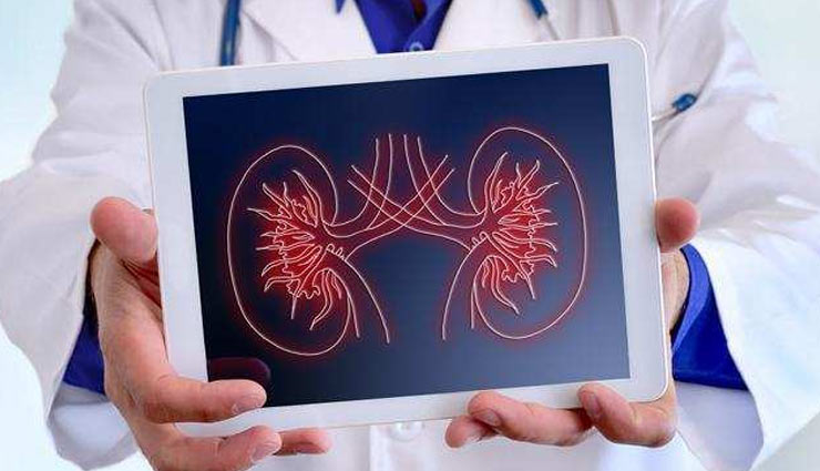 kidney stones,ways to avoid kidney stones,kidney care tips,Health tips,fitness tips