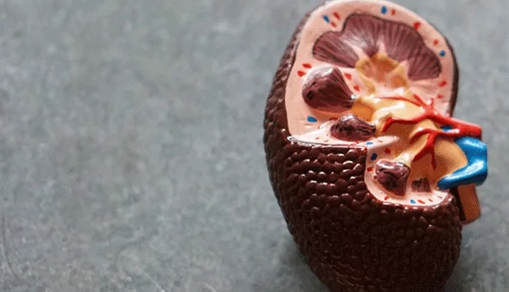 why eating too much spinach will harm you,excess of everything harms,healthy living,Health tips