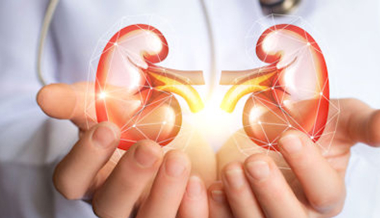 पोषक तत्वों से भरपूर है मखाना, फायदे जान तुरंत करेंगे डाइट में शामिल health benefits of makhana,healthy living,Health tips