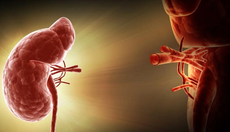 Health tips,health tips in hindi,kidney disease symptoms,care of kidney