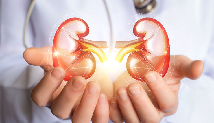 हिंदू और मुस्लिम परिवार ने तोड़ी धर्म की दीवारें, किडनी दान कर बचाई एक दूसरे की जान