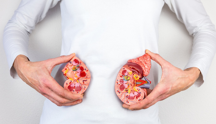 kidney tips,Health tips,habits that hatm kidney,fitness tips