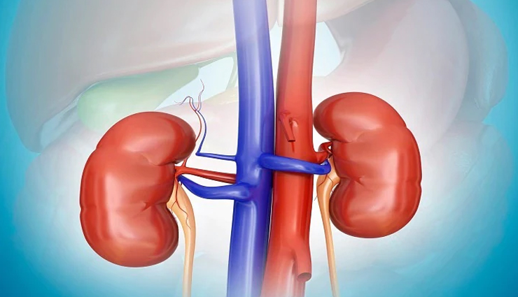 banana flower health benefits,nutritional benefits of banana flower,banana flower recipes for health,banana flower extract benefits,banana flower medicinal uses,health benefits of eating banana flower,banana blossom benefits for wellness,banana flower health facts,banana flower benefits for weight loss,banana flower tea benefits,banana flower benefits for digestion,banana flower benefits for diabetes,banana flower benefits for heart health,banana flower benefits for women health,banana flower health properties,banana flower benefits for skin,banana flower benefits for hair,banana flower nutrients,how to use banana flower for health,banana flower health supplement