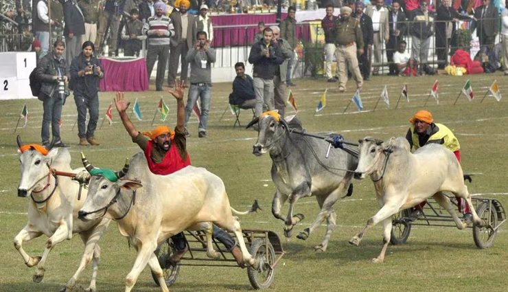 beautiful rural places in india,rural tourism destinations,explore indian villages,picturesque rural landscapes,hidden gems in rural india,offbeat rural experiences,traditional indian villages,rural travel in india,countryside getaways