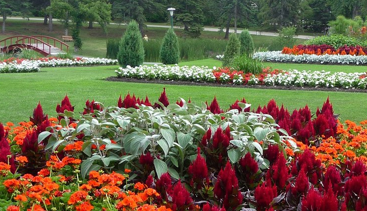 winnipeg parks,beautiful parks in winnipeg,best parks in winnipeg,explore winnipeg parks,winnipeg natural beauty,parks and gardens in winnipeg,winnipeg outdoor attractions,urban parks in winnipeg,winnipeg scenic spots,top parks to visit in winnipeg