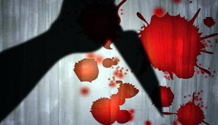 weird news,weird incident,cat serial killer,britain