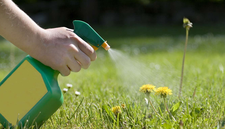 weed control for lawns,how to kill weeds without harming grass,weed and grass identification,selective herbicides for lawn care,natural weed control methods,pre-emergent weed control,post-emergent weed control,best practices for weed management,maintaining a healthy lawn while controlling weeds,weed prevention and maintenance tips