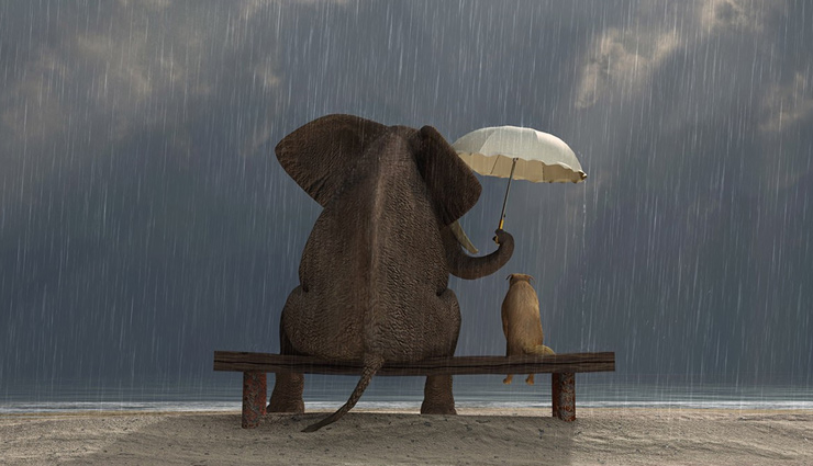 kind to others,be kind to others,tips to be kind to others,relationship,relationship tips