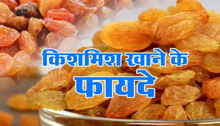 किशकिश दूर करेगी आपकी कई परेशानियां, दिलाएगी कई बीमारियों से छुटकारा