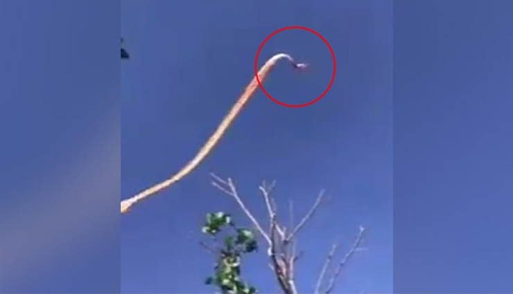 काइट फेस्टिवल के दौरान पतंग की पूंछ में उलझी बच्ची, उड़ गई हवा में, देखे वीडियो