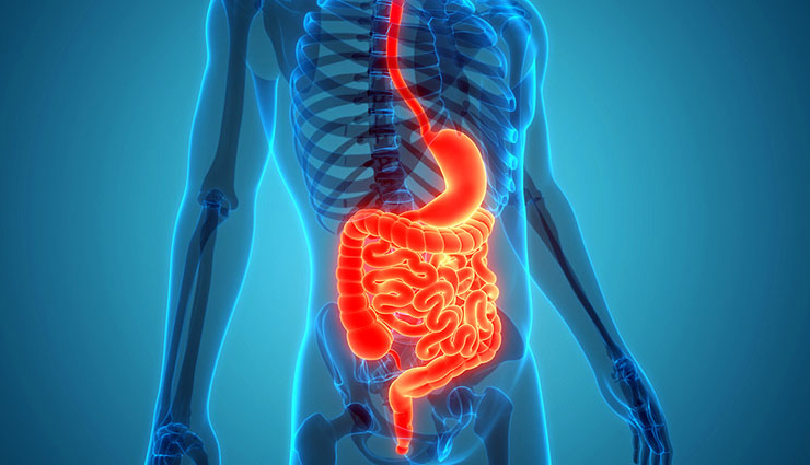 health benefits of kiwi fruit,kiwi fruit nutrition,kiwi fruit for immunity,benefits of eating kiwi fruit,kiwi fruit for digestion,kiwi fruit for skin,kiwi fruit health advantages,kiwi fruit antioxidants,kiwi fruit for heart health,kiwi fruit vitamin c benefits