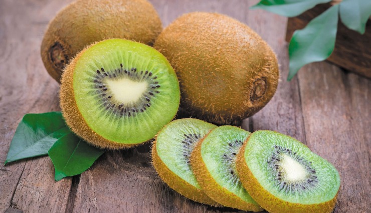 dengue prevention,dengue symptoms,mosquito-borne diseases,tropical diseases,dengue in india,dengue virus,natural remedies for dengue,dengue recovery juices,how to prevent dengue,dengue and platelet count,stagnant water and mosquitoes