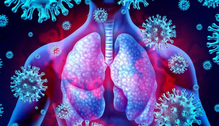 kiwifruit,health benefits of kiwifruit,Health tips,fitness tips