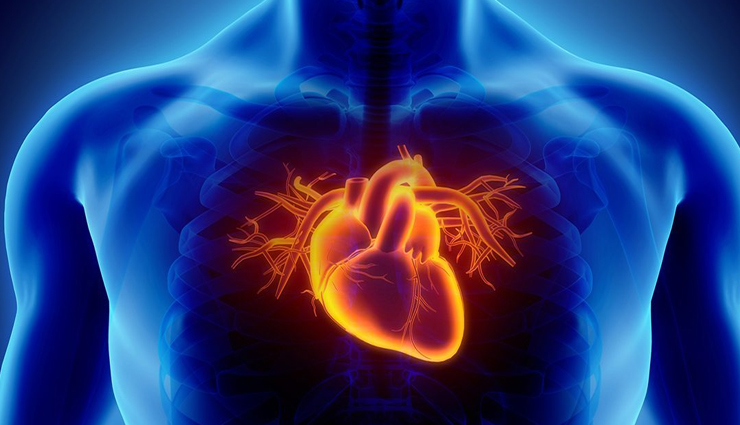 kiwifruit,health benefits of kiwifruit,Health tips,fitness tips