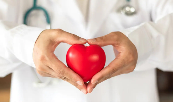 kiwi works to make the body healthy know the benefits of consuming it,Health,healthy living