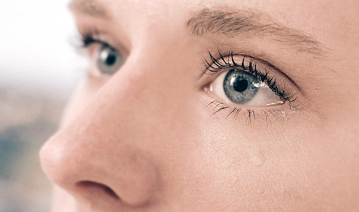 kiwi works to make the body healthy know the benefits of consuming it,Health,healthy living