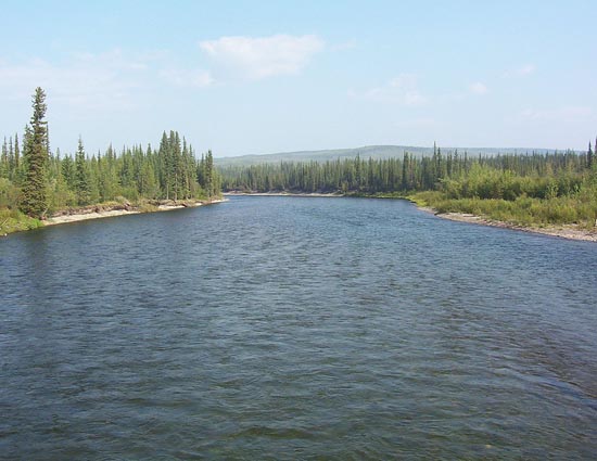 Weird Story- The River That Holds Ample of Gold in It