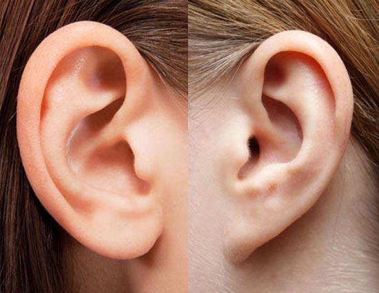 कान की बनावट से जाने व्यक्ति का स्वभाव