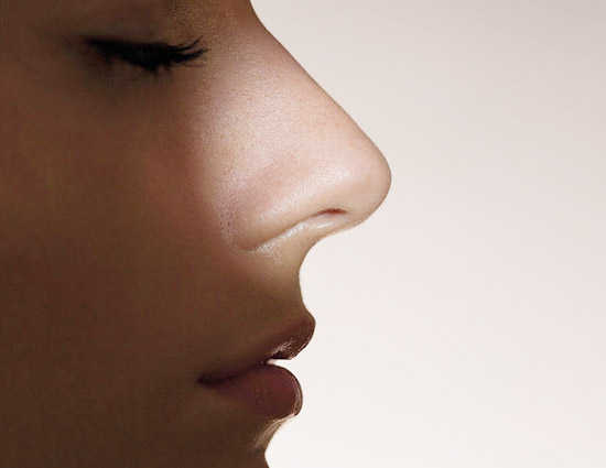 नाक की बनावट के आधार पर आप आसानी से पता कर सकतें है किसी व्यक्ति का स्वभाव, जाने नाक की बनावट के आधार पर आप आसानी से पता कर सकतें है किसी व्यक्ति का स्वभाव, जाने