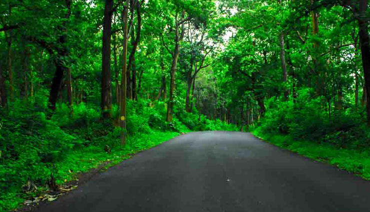 gavi,silent valley national park,palakkad,muzhappilangad beach,kannur,kolukkumalai,idukki,marari,kochi,places around kochi