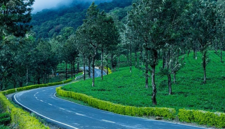 tourist destinations,travel,travel guide,travel tips,tourist destinations to travel in march,travel tips