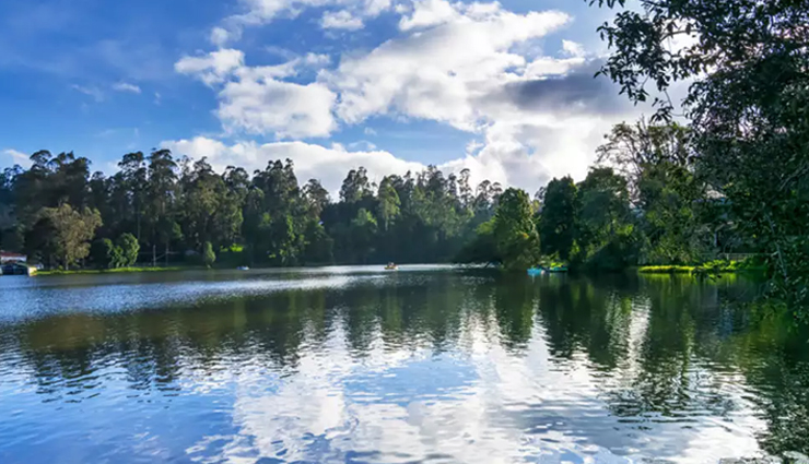 kodaikanal,tourist spots in kodaikanal,tamil nadu,travel guide,travel tips