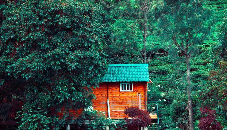 kodaikanal,hill stations near kodaikanal,vattakanal,palani hills,valparai,kolli hills,kotagiri