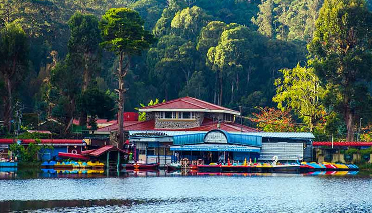 kodaikanal tourist places,beautiful places in kodaikanal,kodaikanal top attractions,hill station kodaikanal travel guide,places to visit in kodaikanal for family,romantic destinations in kodaikanal,best viewpoints in kodaikanal,kodaikanal lakes and waterfalls,kodaikanal pine forest visit,adventure in kodaikanal,kodaikanal sightseeing spots