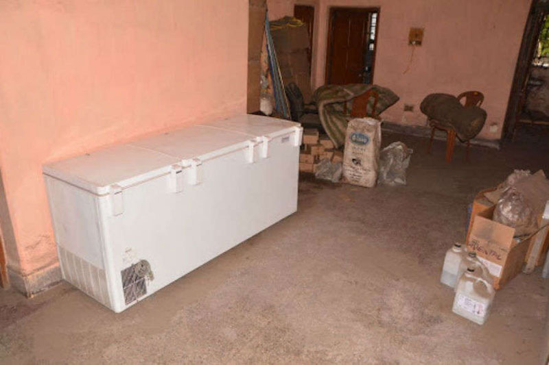 kolkata,dead mothers body,freezer
