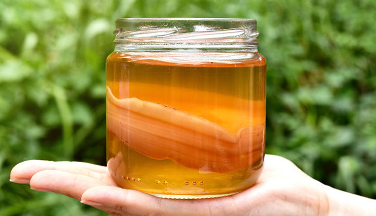 6 Promising Health Benefits of Kombucha