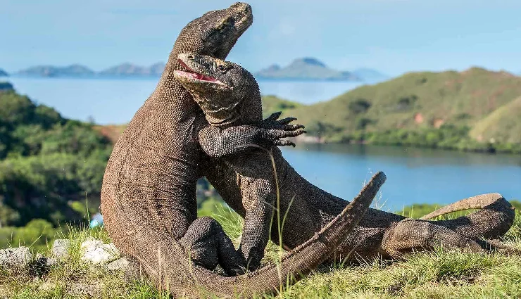 indonesia tourism,best places to visit in indonesia,luxury travel indonesia,indonesian islands,indonesia beaches,ancient temples indonesia,bali travel,jakarta tourism,indonesia travel guide,top tourist destinations indonesia,cultural travel asia