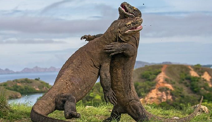 indonesia tourist attractions,must-see places indonesia,indonesia travel destinations,top tourist spots in indonesia,indonesia iconic landmarks,famous attractions in indonesia,indonesia sightseeing highlights,indonesia places of interest,visiting indonesia landmarks,explore indonesia attractions,indonesia travel spots,indonesia famous landmarks,indonesia tourist hotspots,indonesia iconic sights,best places to visit in indonesia,indonesia sightseeing destinations,hidden gems in indonesia,indonesia cultural attractions,indonesia natural wonders,indonesia historical sites