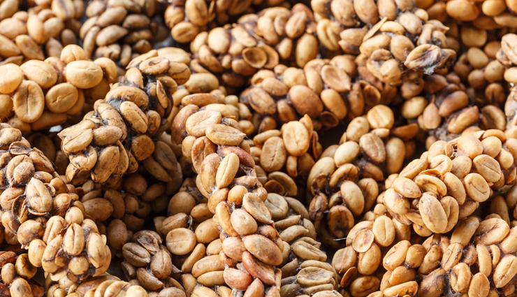 weird foods,werid food people eat,travel,travel tips