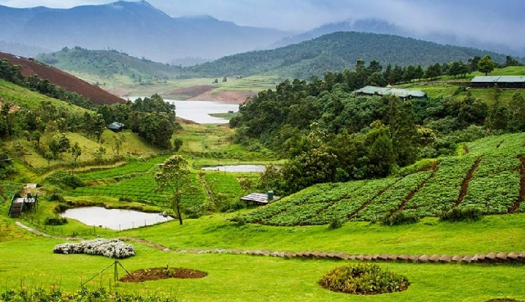 hill stations in maharashtra,best hill stations maharashtra,maharashtra hill station guide,top hill stations in maharashtra,maharashtra travel destinations,hidden hill stations maharashtra,jawhar tourist attractions,bhimashankar hill station visit,panhala travel guide,toranmal weekend getaway,lavasa adventure activities,tamhini ghat trekking,koroli serene retreat,durshet nature exploration,maharashtra scenic hill stations,underrated hill stations maharashtra,maharashtra hill station tourism,family-friendly hill stations maharashtra,romantic hill stations maharashtra,must-visit hill stations maharashtra,maharashtra mountain getaways,historical hill stations maharashtra,nature retreats maharashtra,adventure hill stations maharashtra,peaceful hill stations maharashtra,weekend getaways maharashtra,hill stations near mumbai,hill stations near pune,monsoon hill stations maharashtra,winter hill stations maharashtra