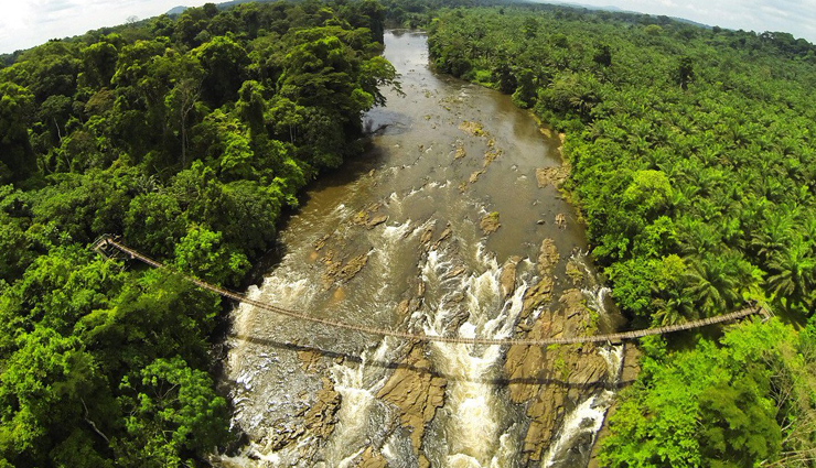 cameroon,national parks visit in cameroon,cameroon tourist places,waza national park,lobeke national park,korup national park,benoue national park,dja faunal reserve,nki national park,faro national park,bouba njida national park,campo maan national park,holidays,travel